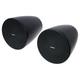 Bose Professional DesignMax DM6PE black