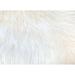 Ovella Home Premium Luxurious Faux Sheepskin Single Pelt Plush Shag Accent Rug - 2' x 3' - 2' x 3'