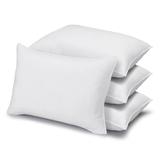 Signature Plush Soft Allergy-Resistant Down Alternative Stomach Sleeper Pillow, Set of 4