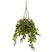 40" Variegated Holly with Berries Artificial Plant in Hanging Basket (Real Touch)