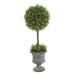 Vickerman 21" Green Cedar Everyday Topiary