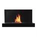 Bio Flame LOTTE SS Wall Mounted Fireplace w/ 13" Burner