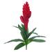 Artificial Vriesea Bromeliad Flower Stem Tropical Spray 18in