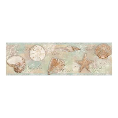 Chesapeake Quinten Brown Shells Border - 7.75 x 180 x 0.025