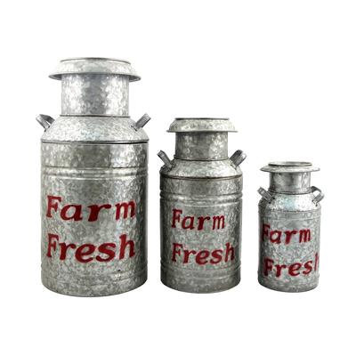 Set of 3 Old Style Galvanized Milk Jug Planters