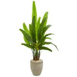 64" Travelers Palm Artificial Tree in Sand Colored Planter