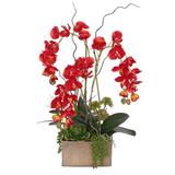 Real Touch Red Orchid Succulent Flower Arrangement in Square Gold Pot - 15W x 11D x 18.5H