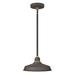 Hinkley Foundry 1-Light Outdoor Pendant in Museum Bronze