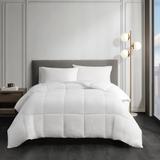 Sleep Philosophy Year Round Warmth Cotton Down Alternative Featherless Comforter