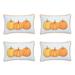 Decorative Fall Thanksgiving Throw Pillow Cover Pumpkins Set of 4