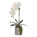 Real Touch White Orchid with Succulent Arrangement in Round Silver Pot - 12W x 6D x 18H