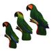 Handmade Amazon Parrots Wood wall adornments (set of 3)(Brazil)