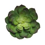 Giant Artificial Lotus Succulent Stem Plant Greenery Pick Spray Branch 8.5in - 6.5" H x 8.5" D