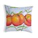 Peaches Noncorded Pillow 12x12