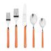 Fantasia Carrot 5-piece Stainless Steel Flatware Set