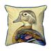 Mrs. Wood Duck Indoor/Outdoor Pillow