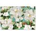 Decorative Anti-Fatigue Memory Foam Mats 30" x 20" - SWEET MAGNOLIA - 30" x 20"