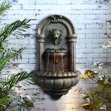 Teamson Home - Outdoor Royal Lion Head Wallfall Fountain w/ LED Light