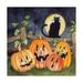 Kathleen Parr McKenna 'Haunting Halloween Night I No Border' Canvas Art