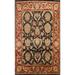 Floral Agra Oriental Wool Area Rug Hand-knotted Living Room Carpet - 8'1" x 11'0"