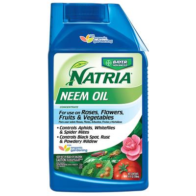 Bayer Advanced Neem Oil Concentrate Pest Control, 24-Ounce