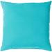 Miguel Aqua Solid Indoor/ Outdoor Throw Pillow (20" x 20")