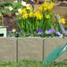 Garden Edging - 10-Piece Outdoor Decorative Flower Bed Border Set for Landscaping by Pure Garden