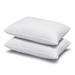 Signature Plush Medium Density Allergy-Resistant Down Alternative Pillow, Set of 2 - White