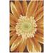 Nourison Fantasy Oversized Floral Area Rug