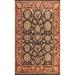 Floral Agra Oriental Living Room Area Rug Hand-knotted Wool Carpet - 7'9" x 11'1"