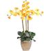 Triple-stem Phalaenopsis Silk Orchid Plant