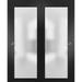 Sliding Closet Frosted Glass Bypass Doors Hardware / Planum 2102 Black Matte