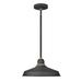 Hinkley Foundry 1-Light Outdoor Pendant in Textured Black