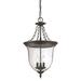 Acclaim Lighting Belle 25 Inch Tall 3 Light Outdoor Hanging Lantern - 9316BK