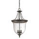 Acclaim Lighting Belle 25 Inch Tall 3 Light Outdoor Hanging Lantern - 9316BK