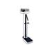 Detecto 448 Physician Balance Beam Scale with Height Rod, Wheels & Hand Post