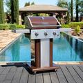 Perma 3-Burner Compact Propane Gas Grill w/ Foldable Side Tables & Grilling Tool Hooks Cast Iron/ in Brown | 45.1 H x 51.2 W x 24.1 D in | Wayfair