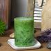 Symple Stuff SLD Holiday Forest Scented Pillar Candle Paraffin in Green | 4 H x 3 W x 3 D in | Wayfair 8947A3EB751240ADA67D8E2DDC01D236