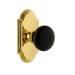 Grandeur Arc Solid Brass Rose Privacy Door Knob Set with Coventry Knob