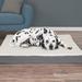 2-Layer Orthopedic Memory Foam Dog Bed with Machine Washable Sherpa Cover