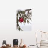 "Christmas ornament on snow-covered tree" Poster Print - Multi