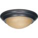 Nuvo Lighting 60/1282 2 Light 14" Wide Flush Mount Bowl Ceiling