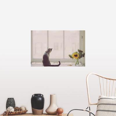 product_img5