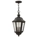 Hinkley Edgewater Outdoor Lantern Pendant Light - 1672OZ-LL