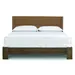 Copeland Furniture Sloane Bed with Legs for Mattress Only - 1-SLO-21-04-89104