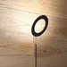 Zaneen Vera LED Floor Lamp - D44008-30K-BLK