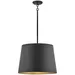 Hinkley Alder Outdoor Pendant Light - 11154BK