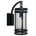 Norwell Lighting New York Outdoor Wall Sconce - 1190-ADB-CL