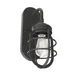 Hunter Fans Starklake Wall Sconce - 19040