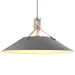 Hubbardton Forge Henry Outdoor Pendant Light - 363010-1015